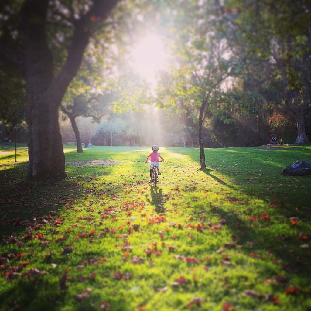 autumnBike