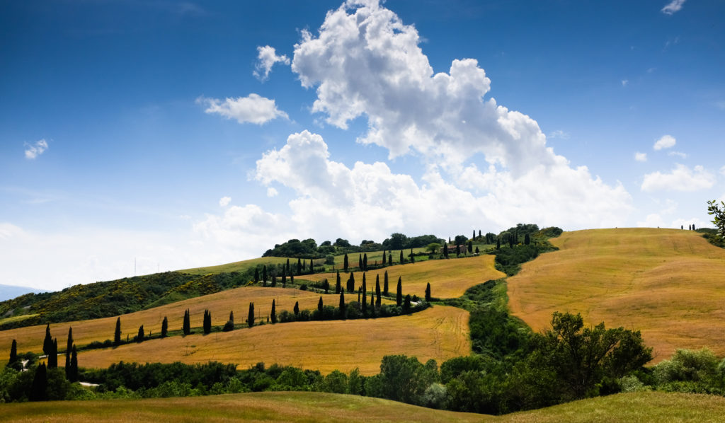 Tuscan Hills